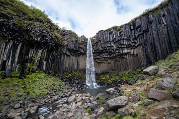 Chute d'eau de Svartifoss en Islande | Photographie de voyage sur Kelsey van den Bosch