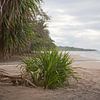 Caraïbische kust - Costa Rica van t.ART