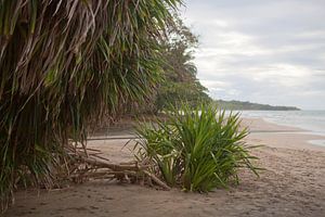 Karibikküste - Costa Rica