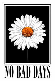 No Bad Days Daisy by Artistic