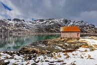Old barn on the Lofoten Islands in Norway by gaps photography thumbnail