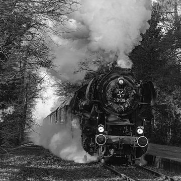 Une matinée à la Veluwe Steam Railway Company, une série de 5 sur Hans de Waay