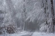 Soft Winter Magic. van Inge Bovens thumbnail