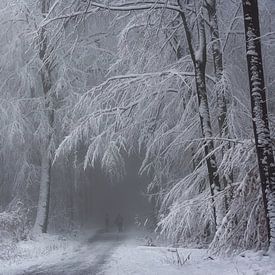 Soft Winter Magic by Inge Bovens