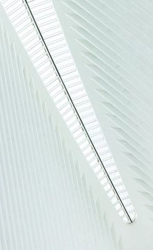 Oculus Station New York City van Marcel Kerdijk