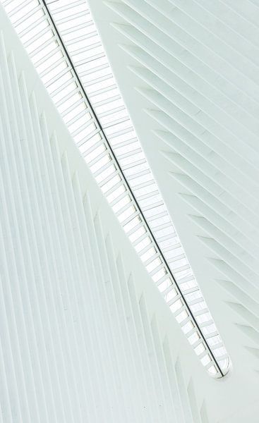 Oculus Station New York City van Marcel Kerdijk