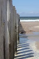 into the sea