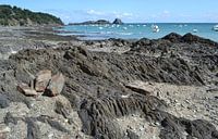 Cancale, Bretagne