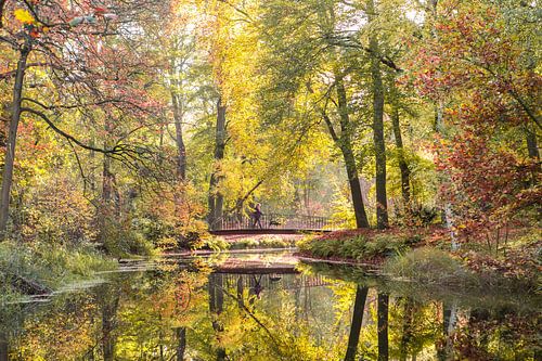 Herfst kleuren reflectie, het bruggetje in het park Zeist