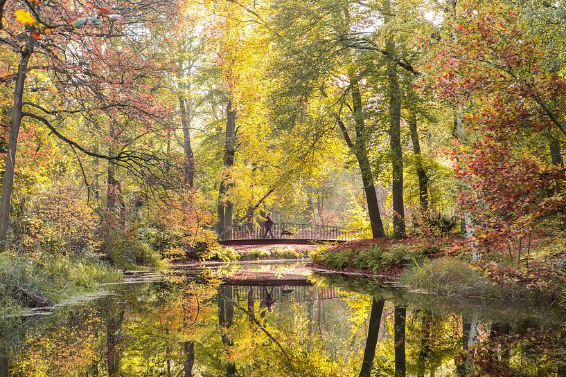 Herbstliche Farbreflexion, die kleine Brücke im Park Zeist von Peter Haastrecht, van