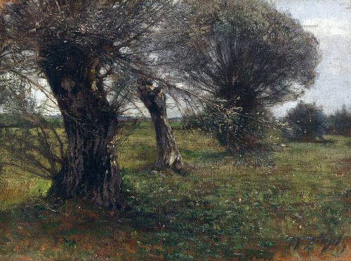 Wilgen in het mos, HEINRICH VON ZÜGEL, ca 1885