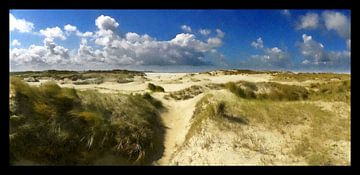 De Hors Texel van Ger Veuger