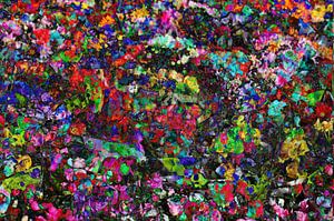 colourful spot of colour, abstract, blossom, flowers, colour field