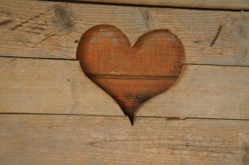 Houten hart by Paula de Wit