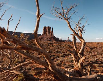 Monument Valley van swc07