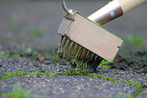 Enlever la mousse et les mauvaises herbes de la chaussée. sur Time_Pictures
