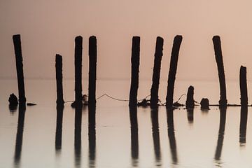 Poles at sunrise by Hillebrand Breuker