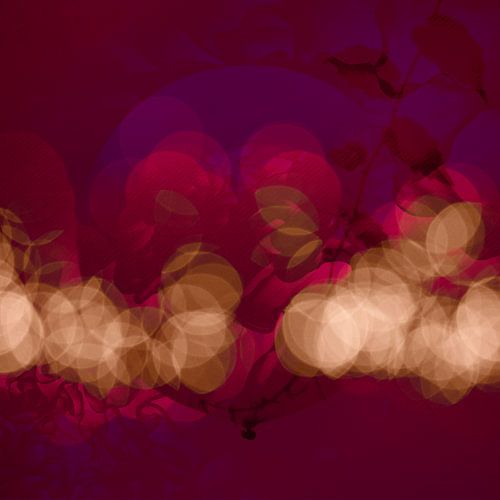 De Ballon in de tuin. 4