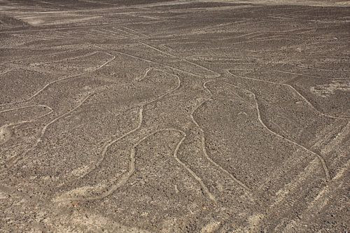 Lignes de Nazca au Pérou
