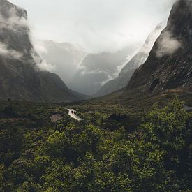 Milford Sound - Neuseeland von Jip van Bodegom