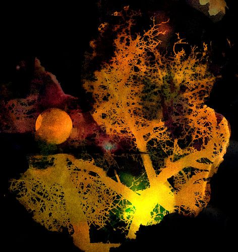 Zonsondergang in Afrika