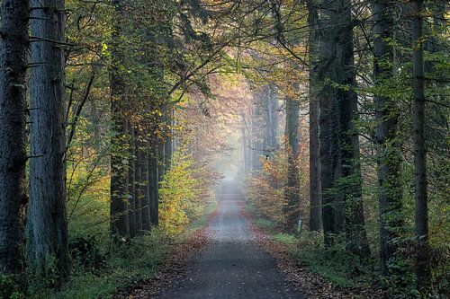 Herfst 2021 - 9