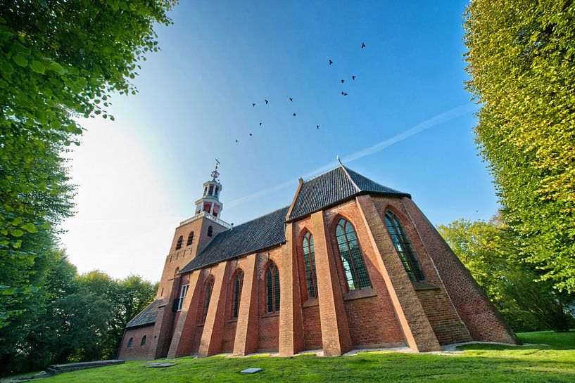 De Petruskerk van Pieterburen van Pieter van Roijen