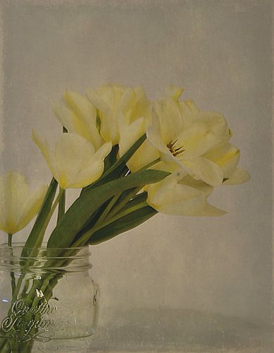 DE VIER SEIZOENEN, Lente