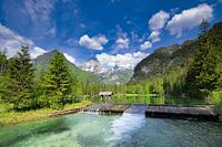 Schiederweiher