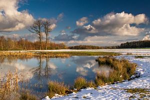 reflections at the lake van Heinz Grates