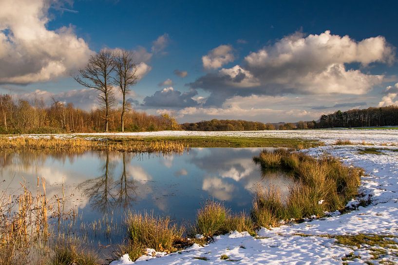 Spiegelung am Teich par Heinz Grates