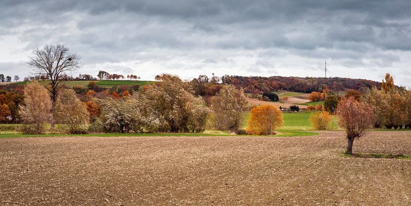 Autumn in the valley of the river Geul by Rob Boon