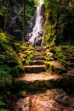 Burgbach waterfall in the Black Forest by Fotos by Jan Wehnert