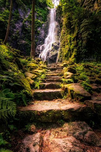 Burgbach waterval in het Zwarte Woud