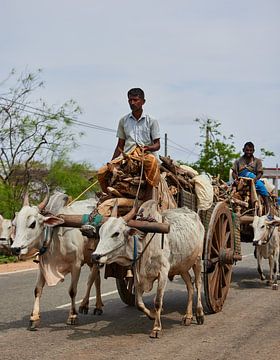 Straßenansicht in Jaffna von Dilani Butink