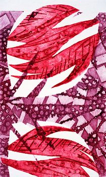 L'origine d'une tulipe