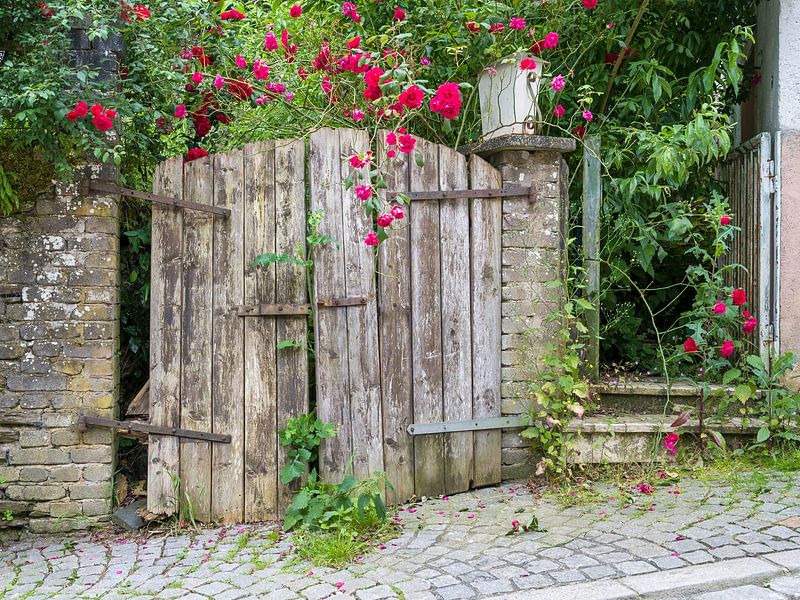 Alte Gartentüren mit Rosen von Danny den Breejen