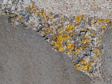 Port en blocs de béton Cadzand sur Jeanet Francke