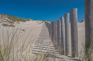 Kennemerduinen, North Holland