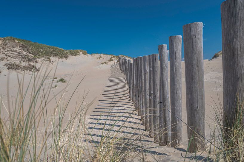 Kennemerduinen, North Holland by Peter Bartelings