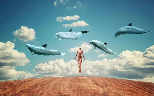 Meditation von Jacky