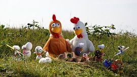 Fubby's dyeing eggs from chickens, Happy Easter. by Sailographic Paula