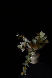 Quiet form by Cindy Coenen Fine Art