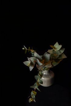 Quiet form