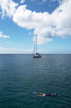 Snorkelaar in de Caraïbische Zee van Margot van den Berg