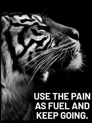 Tijger Diermotivatie