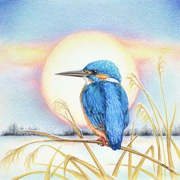 Kingfisher in winter by Rianne Brugmans van Breugel