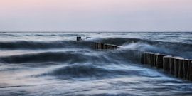 Vagues et épis sur Holger Bücker