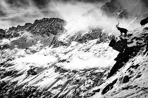 King of the mountain