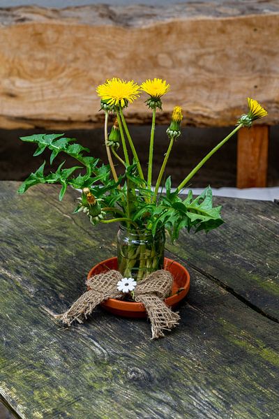 Paardebloem bloem Art Picture Wall van Animaflora PicsStock